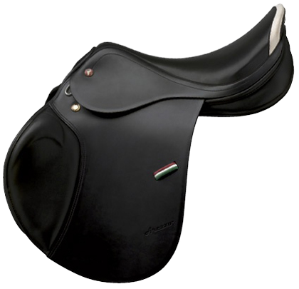 Insights into Saddle Fitting Saddles for High Withered Horses